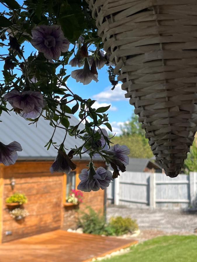 Holiday home Borowkowe Wzgorze