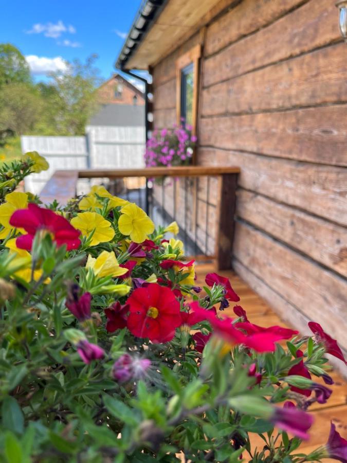 Holiday home Borowkowe Wzgorze