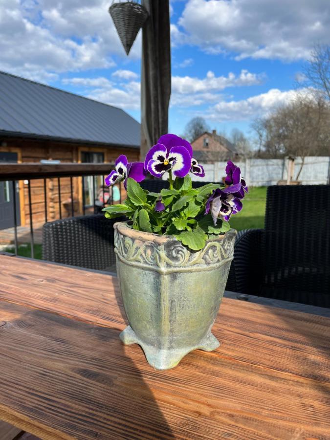 Holiday home Borowkowe Wzgorze Adamow (Zamosc)